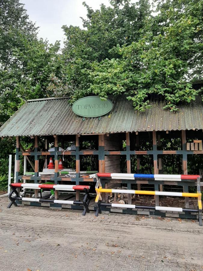 'T Wolthoes Vlagtwedde Exterior foto